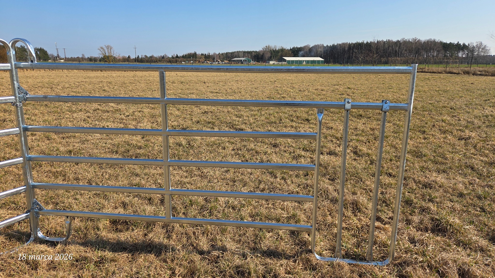 Panel z przejściem dla cieląt — zdjęcie produktu
